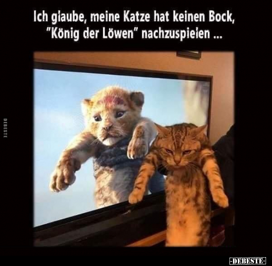 Ich glaube, meine Katze hat keinen Bock, "König der Löwen".. - Lustige Bilder | DEBESTE.de