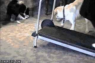 :) - Lustige Bilder | DEBESTE.de