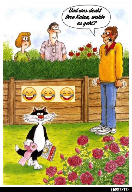 Und was denkt Ihre Katze, wohin es geht?