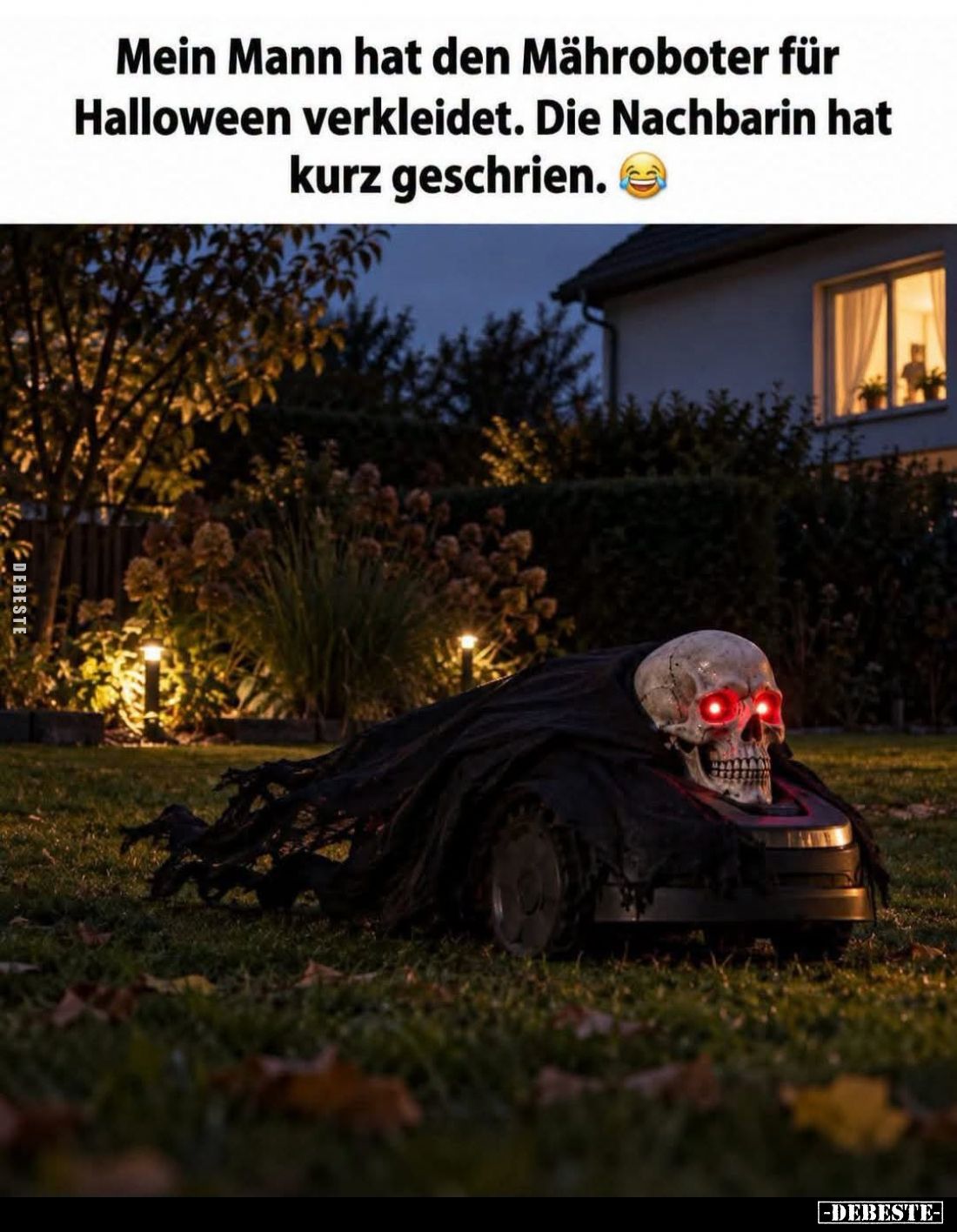Mein Mann hat den Mähroboter für Halloween verkleidet. Die Nachbarin hat kurz geschrien.