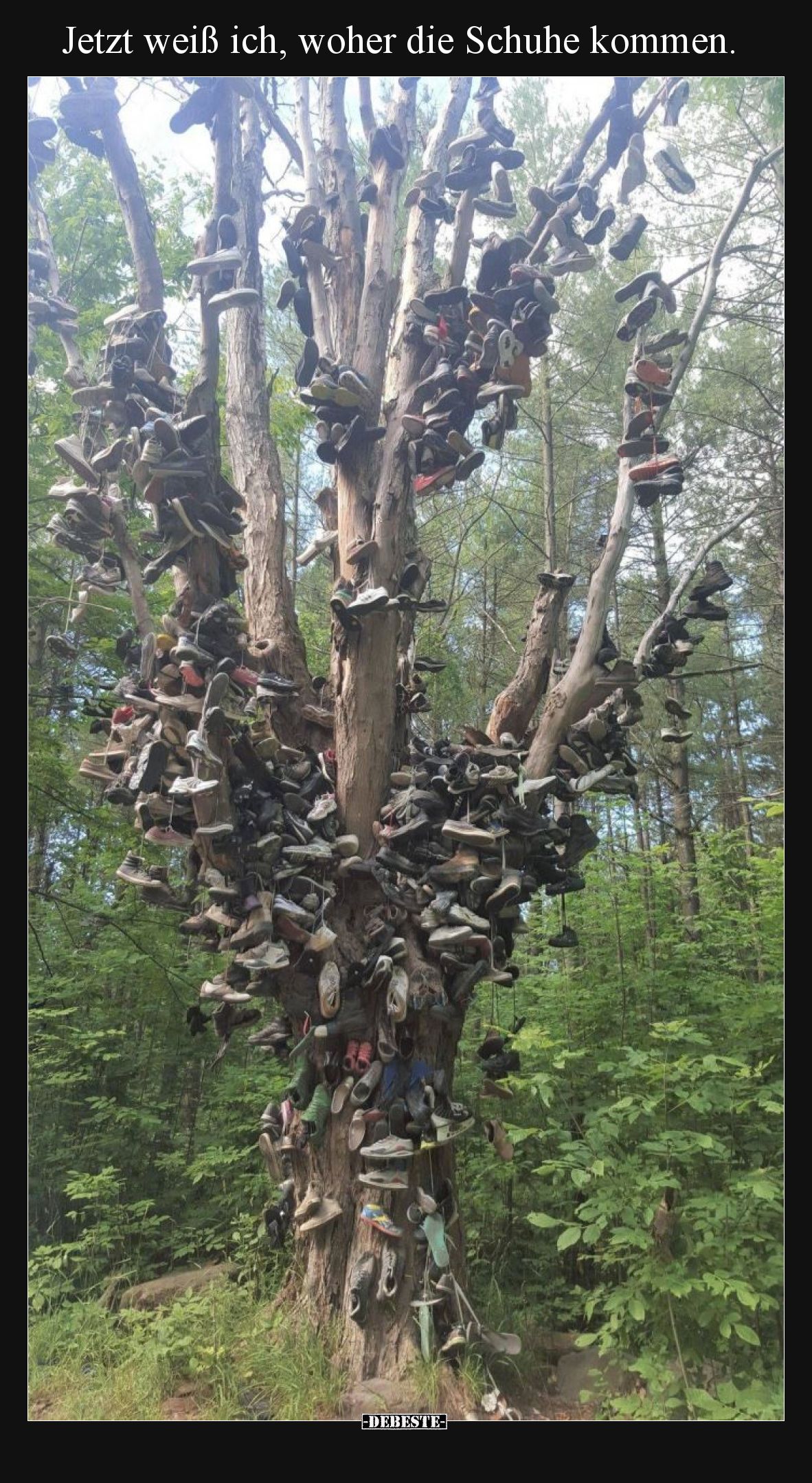 Jetzt weiß ich, woher die Schuhe kommen