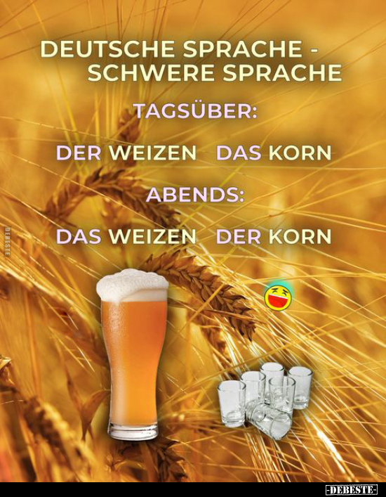 Deutsche Sprache - schwere Sprache. Der Weizen das.. - Lustige Bilder | DEBESTE.de
