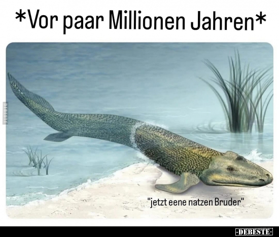 Vor paar Millionen Jahren.. - Lustige Bilder | DEBESTE.de