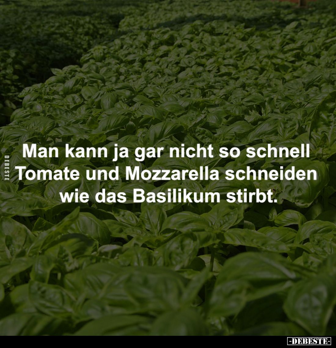Man kann ja gar nicht so schnell Tomate... - Lustige Bilder | DEBESTE.de