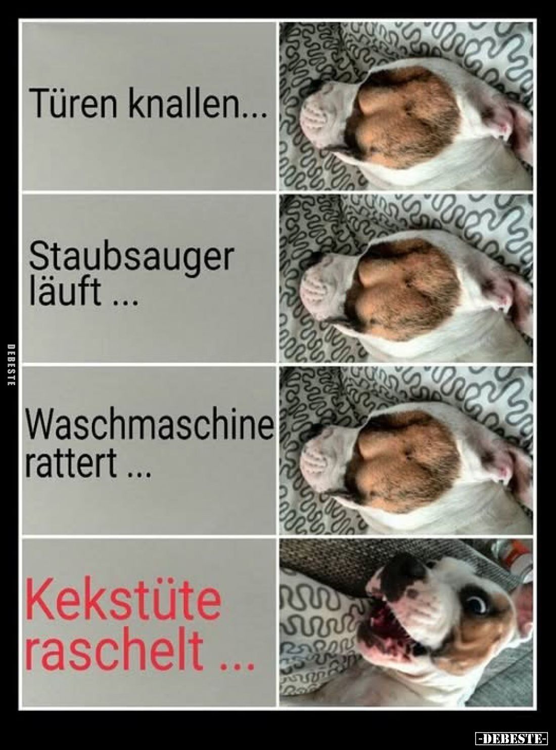 Türen knallen...
Staubsauger läuft ...
Waschmaschine rattert...
Kekstüte raschelt...
