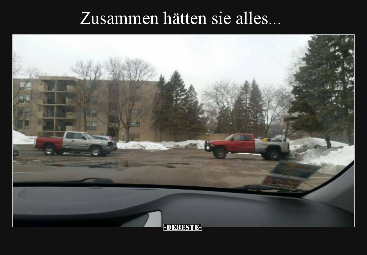 Zusammen hätten sie alles... - Lustige Bilder | DEBESTE.de