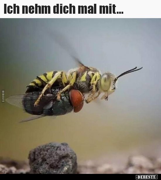 Ich nehm dich mal mit...