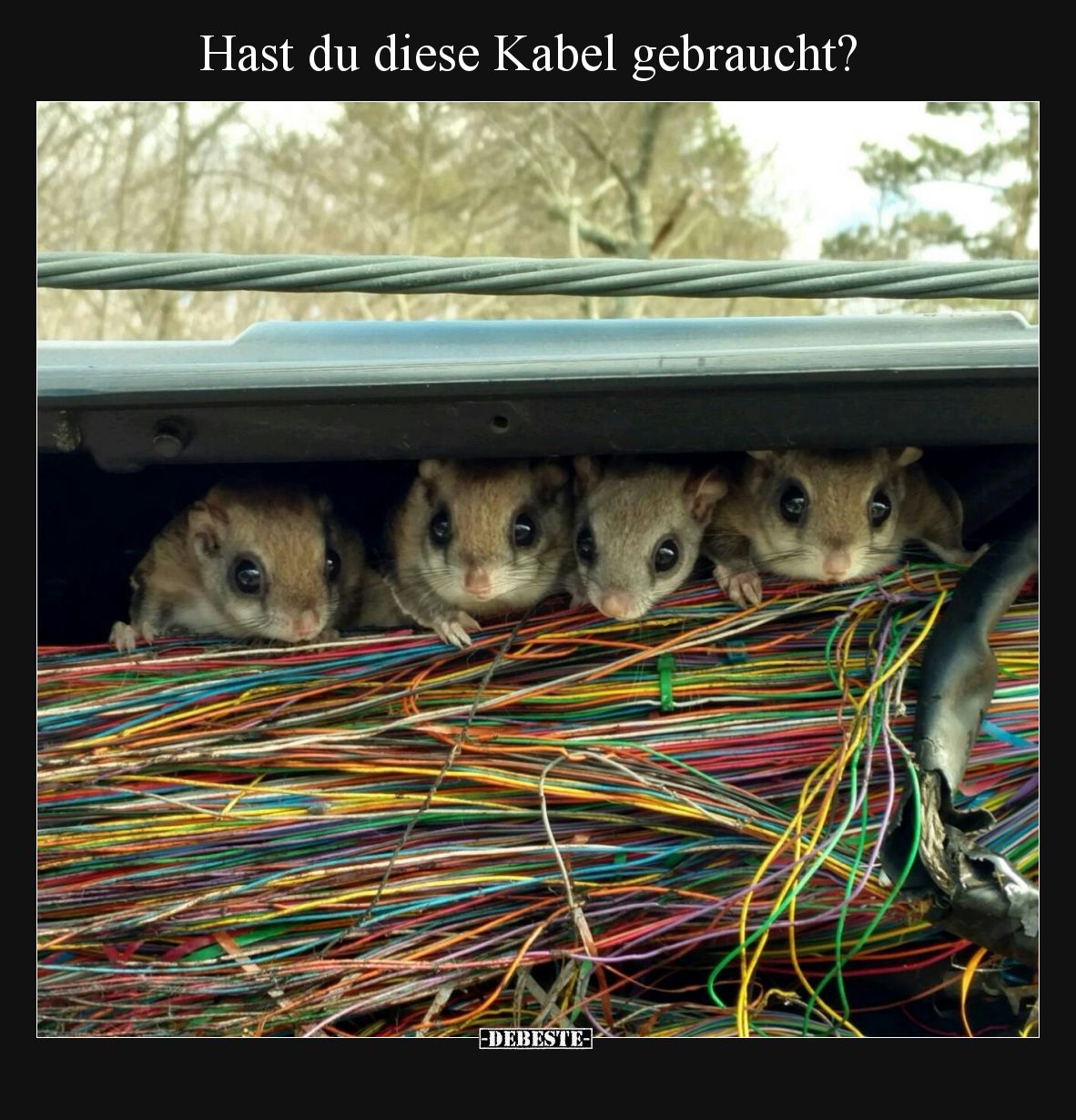 Hast du diese Kabel gebraucht?.. - Lustige Bilder | DEBESTE.de