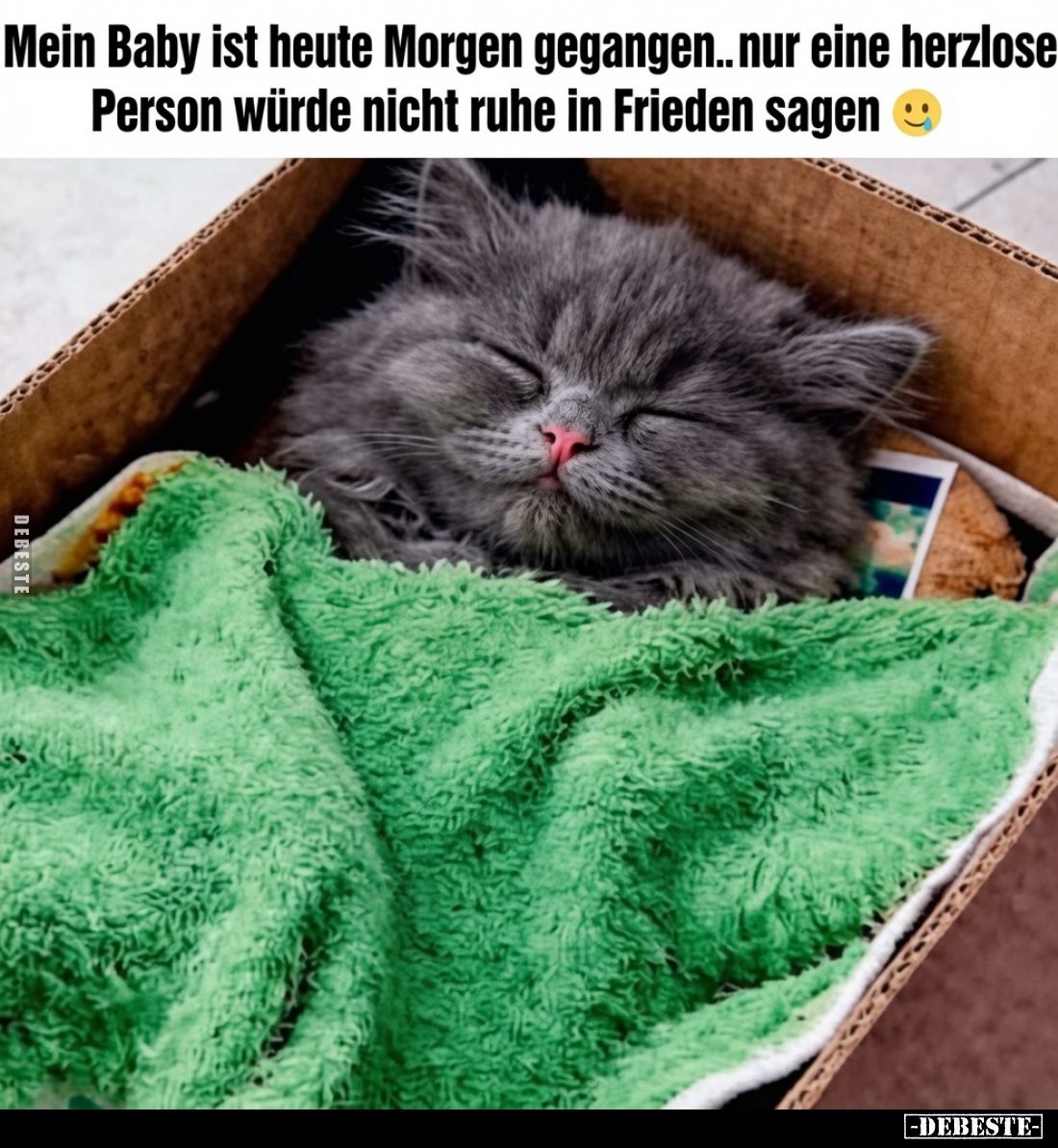 Mein Baby ist heute Morgen gegangen.. nur eine herzlose Person würde nicht ruhe in Frieden sagen