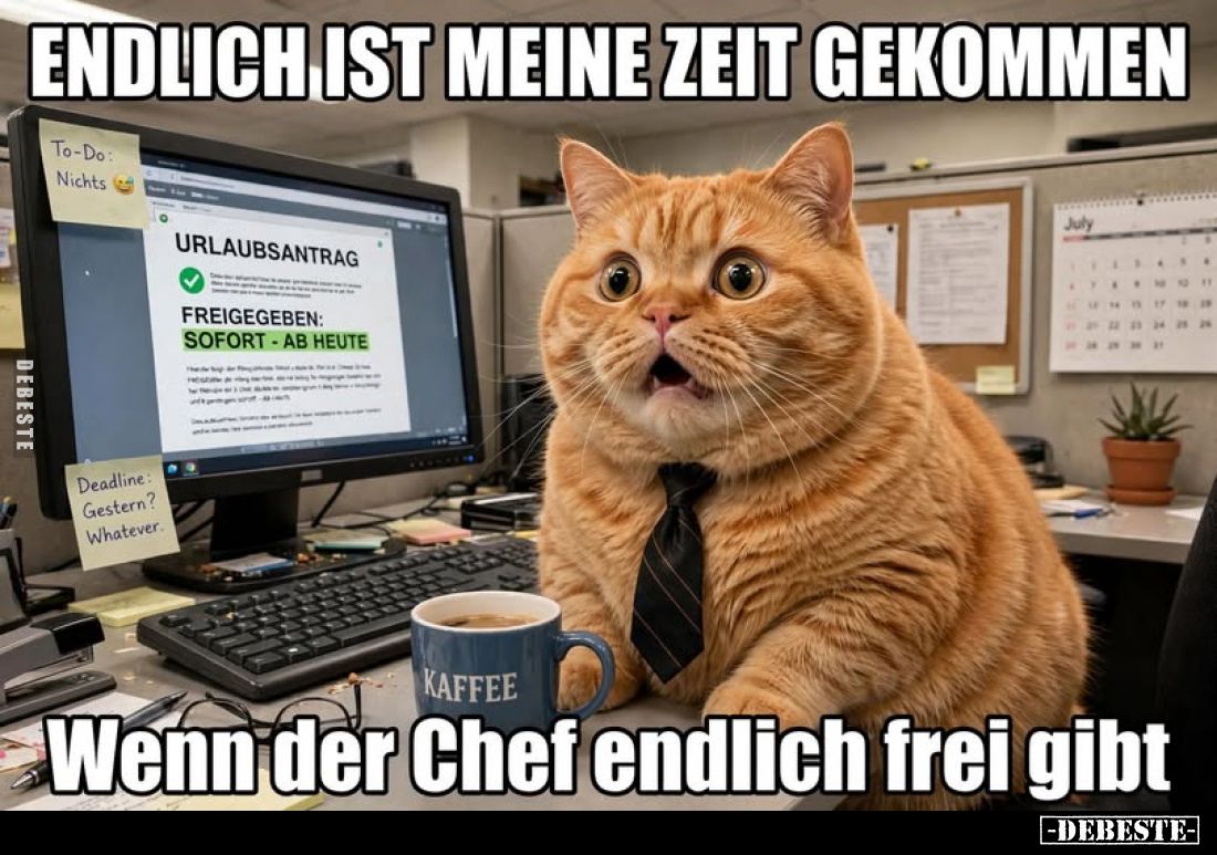 Endlich ist meine Zeit gekommen
-
Wenn der Chef endlich frei gibt