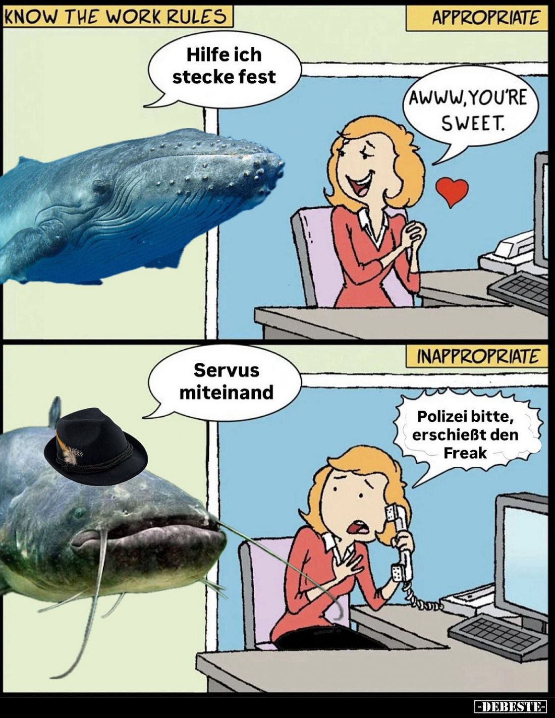  - Lustige Bilder | DEBESTE.de