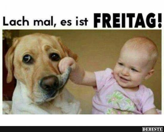 Lach mal, es ist Freitag! - Lustige Bilder | DEBESTE.de