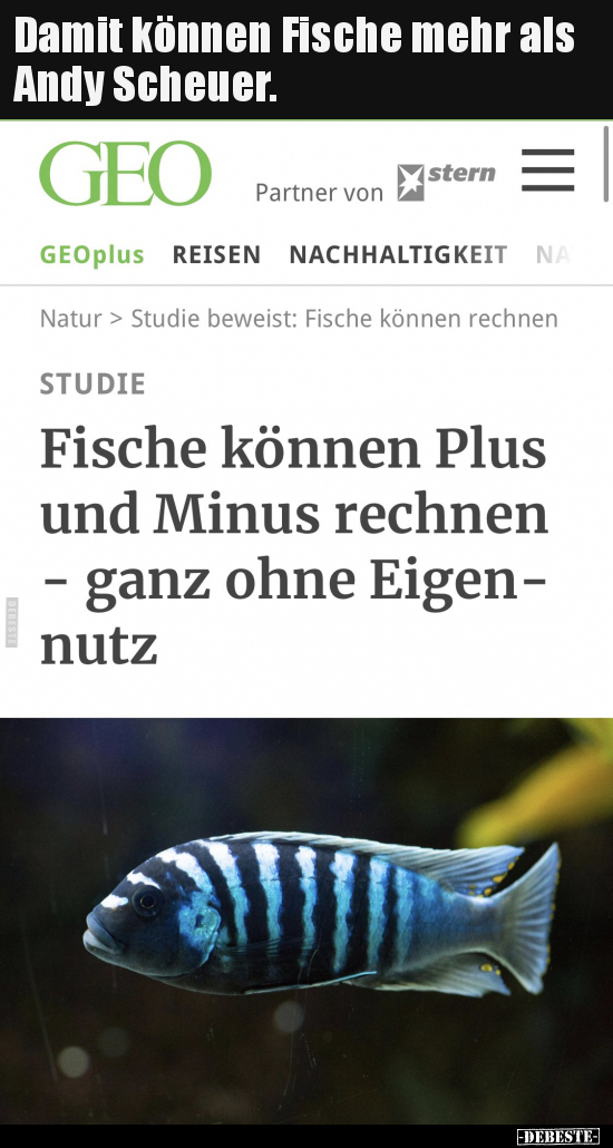 Damit können Fische mehr als Andy Scheuer... - Lustige Bilder | DEBESTE.de