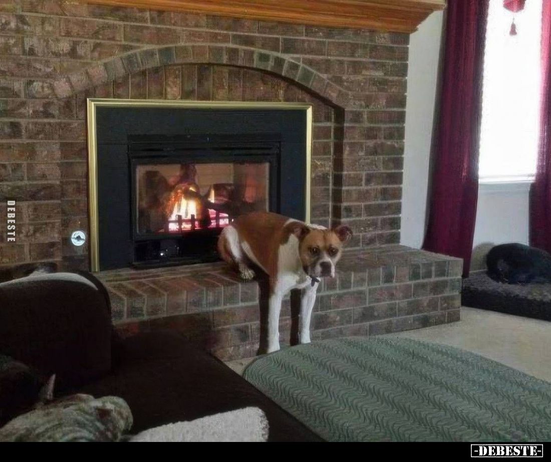  - Lustige Bilder | DEBESTE.de