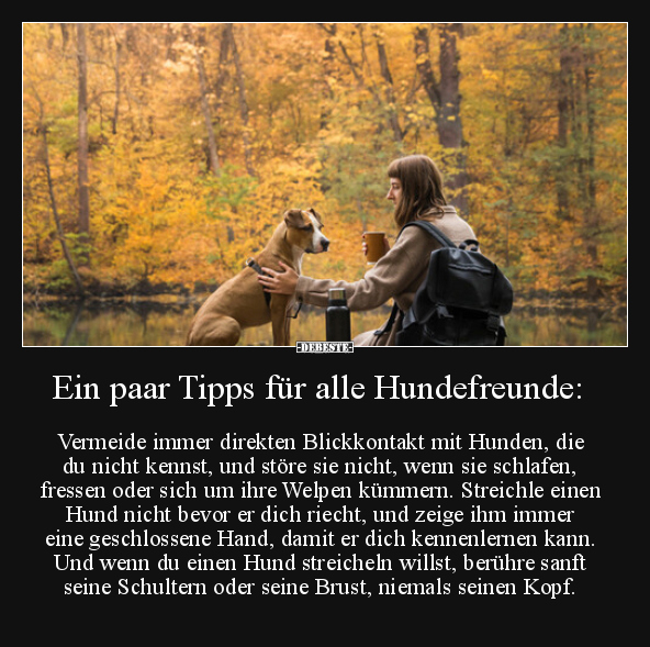 Ein paar Tipps für alle Hundefreunde.. - Lustige Bilder | DEBESTE.de