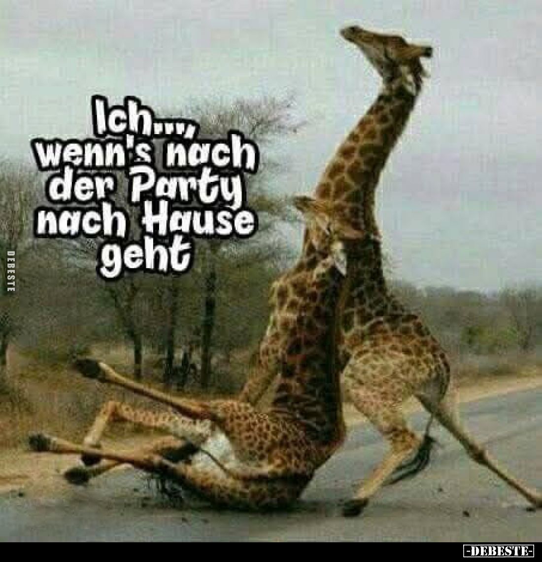 Ich..., wenn's nach der Party nach Hause geht