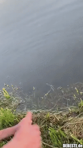 Alternative Fangmethode.