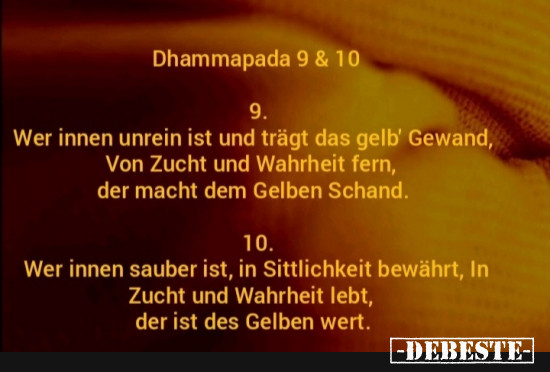 Mönch Gewand - Lustige Bilder | DEBESTE.de