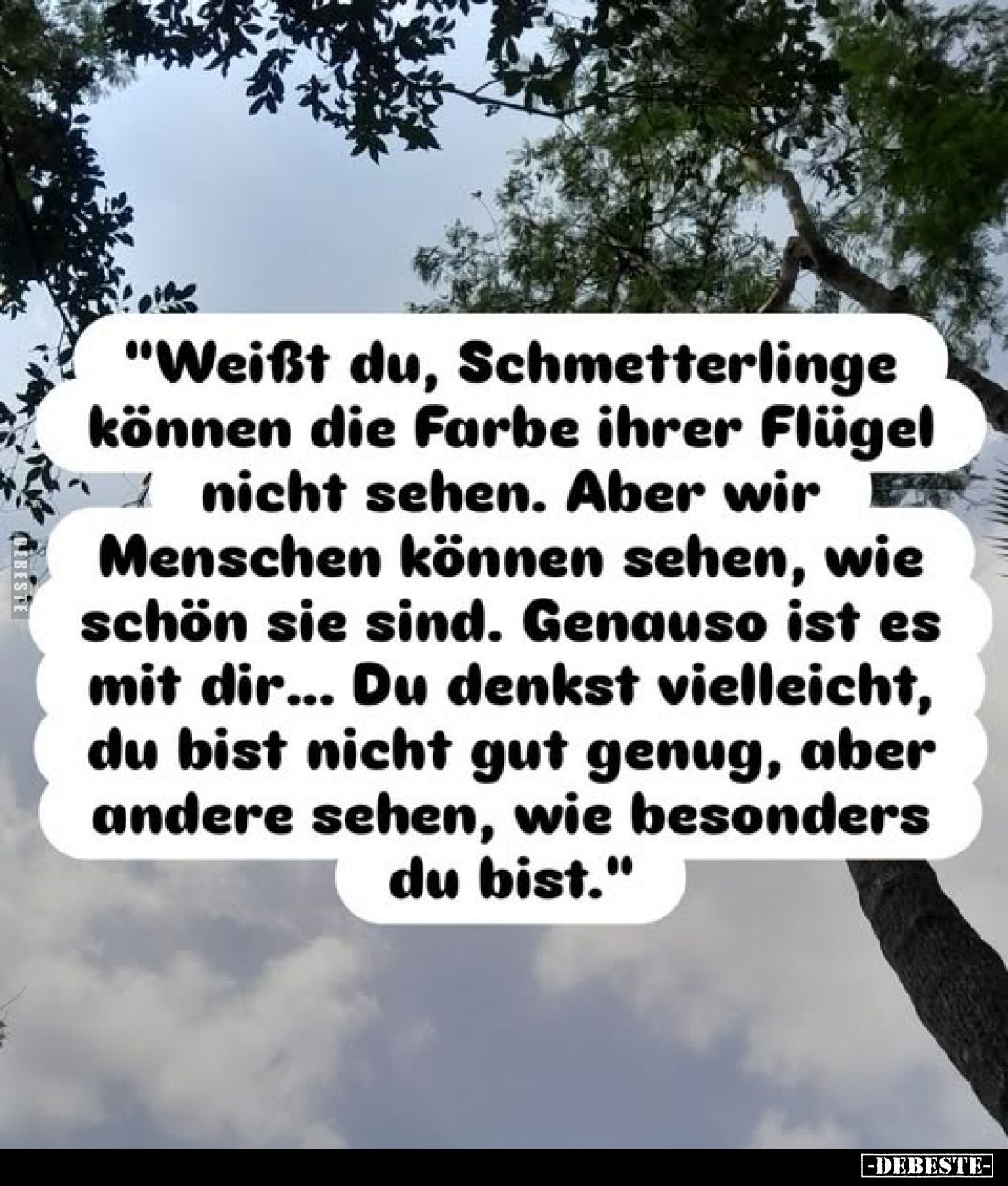 "Weißt du, Schmetterlinge können die Farbe ihrer Flügel nicht sehen. Aber wir Menschen können sehen, wie schön sie sind....