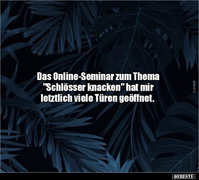 Das Online-Seminar zum Thema "Schlösser knacken" hat mir.. - Lustige Bilder | DEBESTE.de