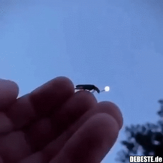 Der coolste Start, den ich je gesehen habe.