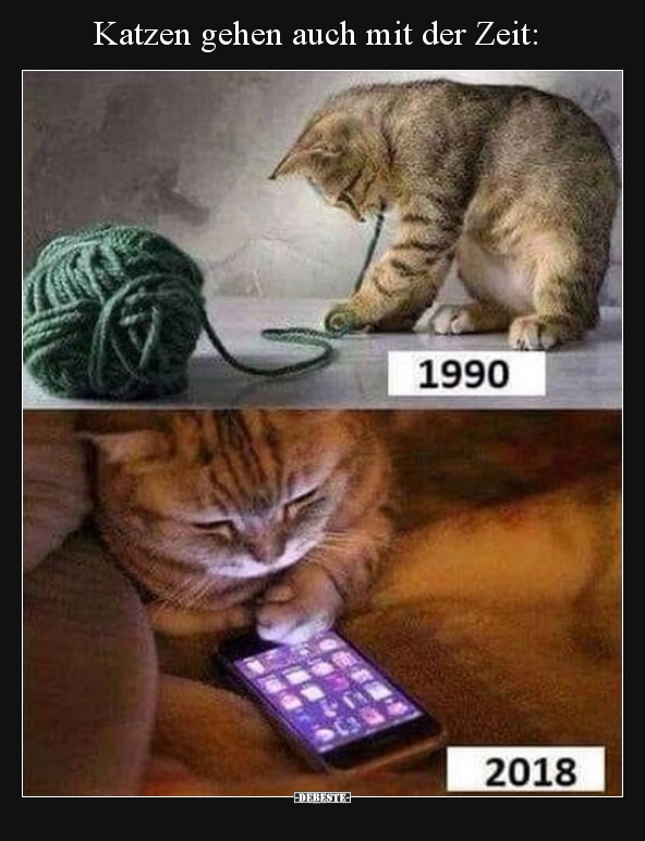 Katzen gehen auch mit der Zeit..
