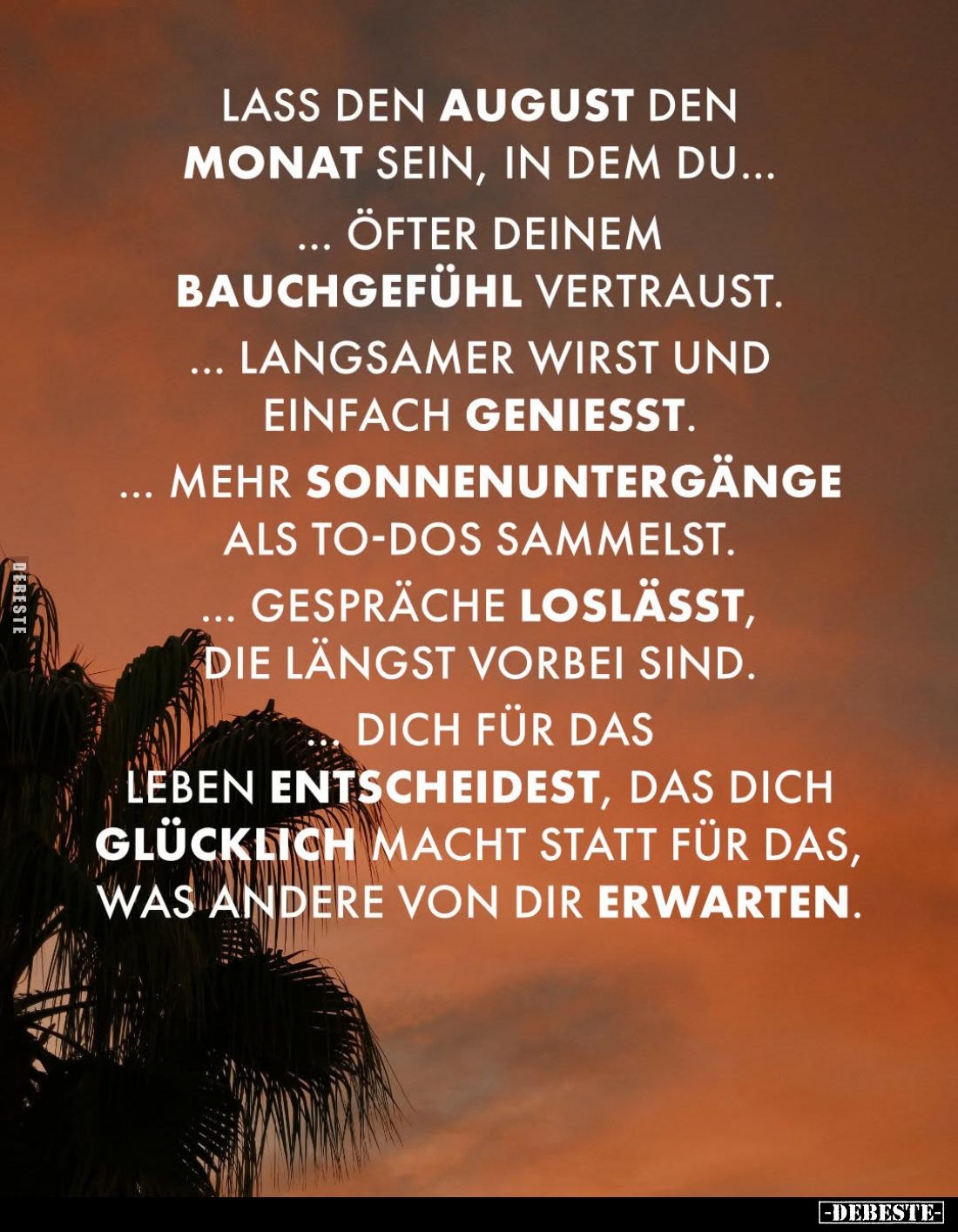Lass den August den Monat sein, in dem du...
öfter deinem Bauchgefühl vertraust.
Langsamer wirst und einfach genießt.
Mehr...