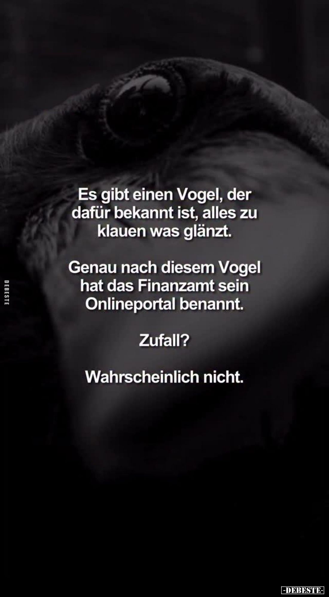 Es gibt einen Vogel, der dafür bekannt ist, alles zu klauen was glänzt.
Genau nach diesem Vogel hat das Finanzamt sein Onlin...