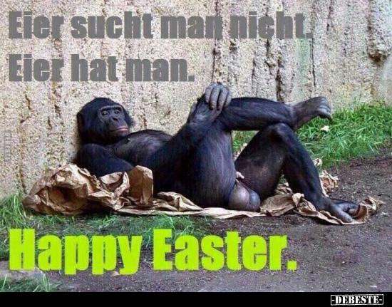 Eier sucht man nicht, Eier hat man. Happy Easter... - Lustige Bilder | DEBESTE.de