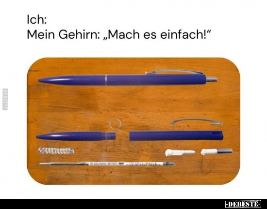 Mein Gehirn: "Mach es einfach!".. - Lustige Bilder | DEBESTE.de