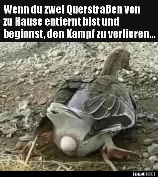 Wenn du zwei Querstraßen von zu Hause entfernt bist und..