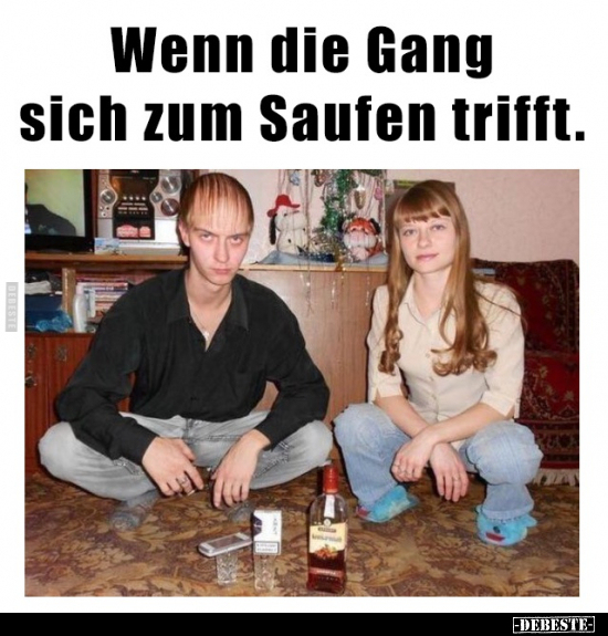 Wenn die Gang sich zum Saufen trifft.. - Lustige Bilder | DEBESTE.de