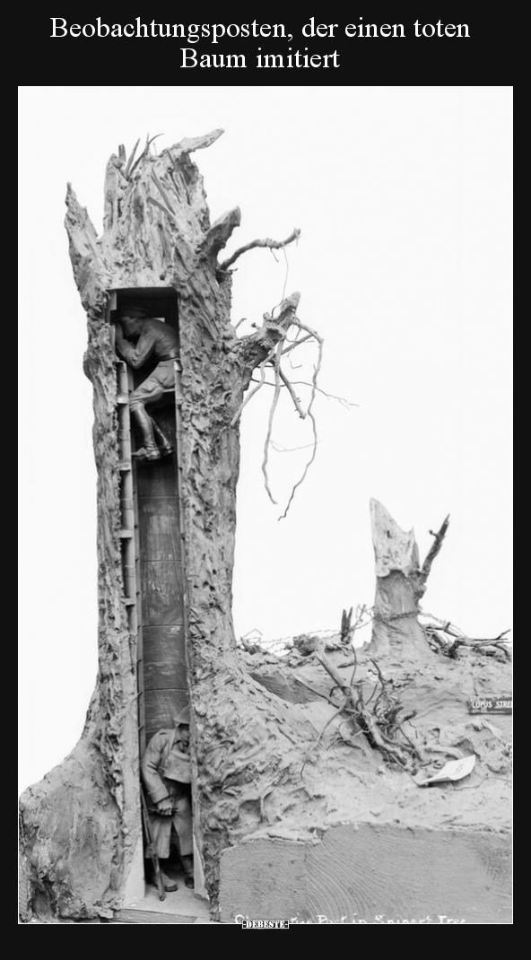Beobachtungsposten, der einen toten Baum imitiert.. - Lustige Bilder | DEBESTE.de
