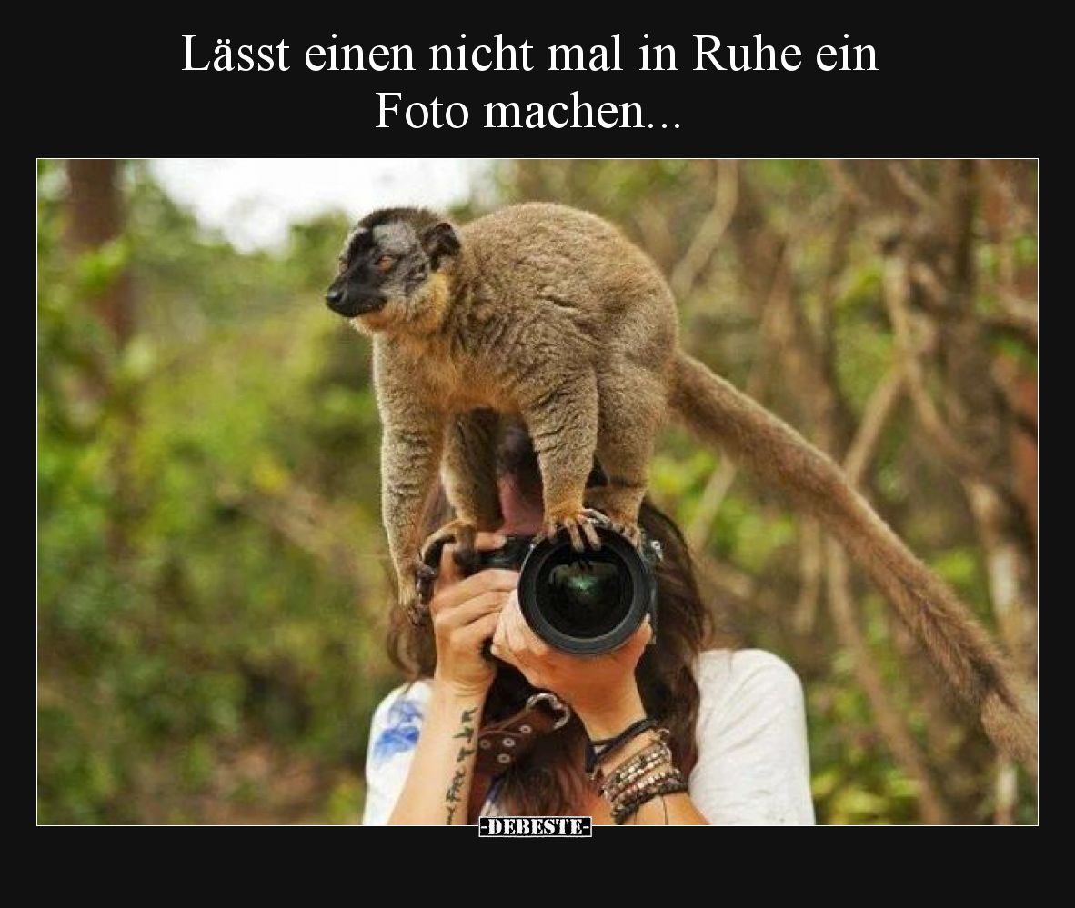 Lässt einen nicht mal in Ruhe ein 
Foto machen...