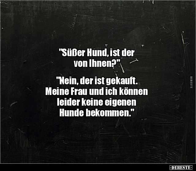 "Süßer Hund, ist der von Ihnen?" "Nein, der ist gekauft..." - Lustige Bilder | DEBESTE.de