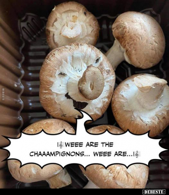  - Lustige Bilder | DEBESTE.de