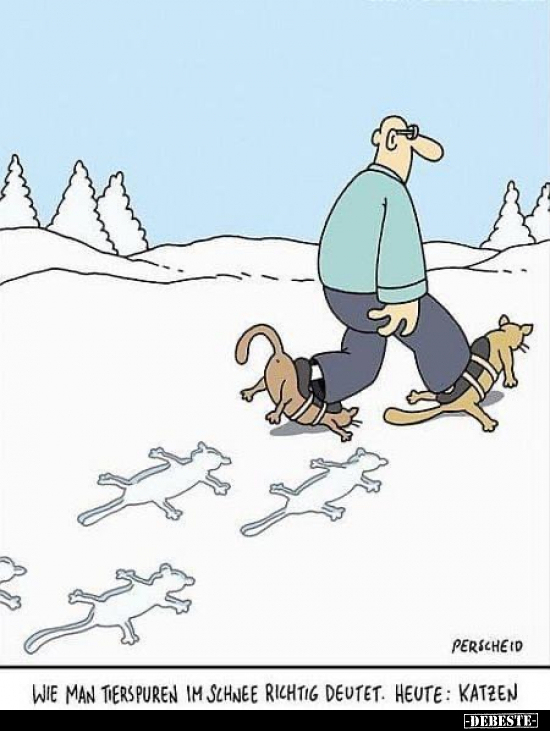 Wie man Tierspuren im Schnee richtig deutet... - Lustige Bilder | DEBESTE.de