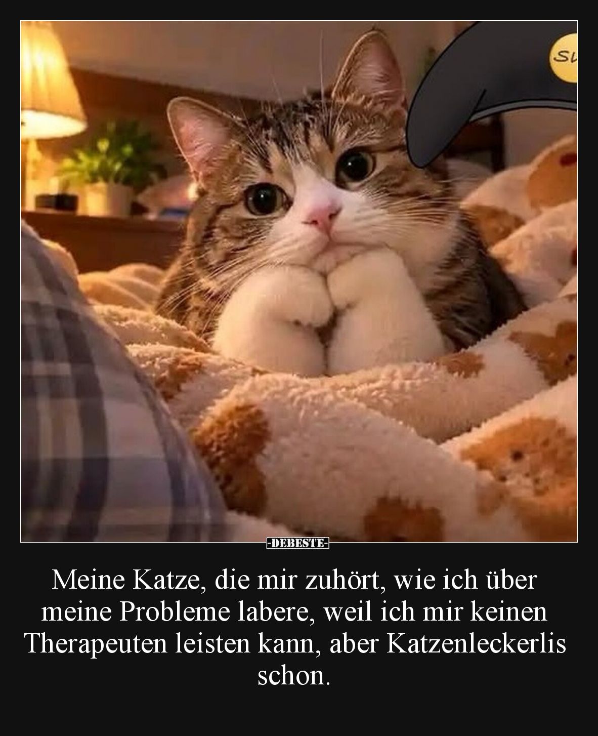 Meine Katze, die mir zuhört, wie ich über meine Probleme labere, weil ich mir keinen Therapeuten leisten kann, aber Katzenlec...