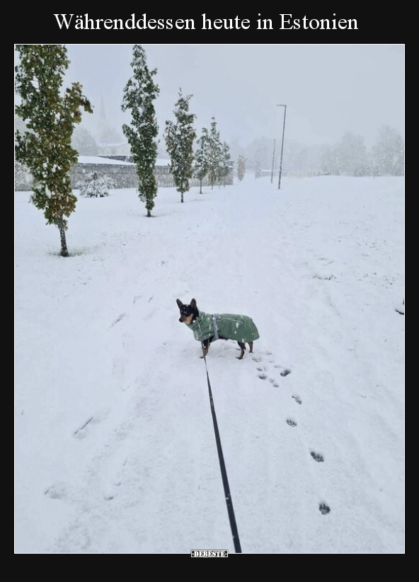 Währenddessen heute in Estonien