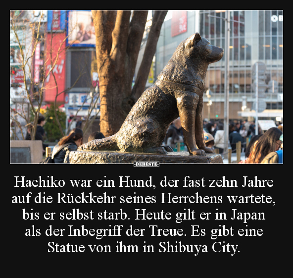 Hachiko war ein Hund, der fast zehn Jahre auf die Rückkehr.. - Lustige Bilder | DEBESTE.de