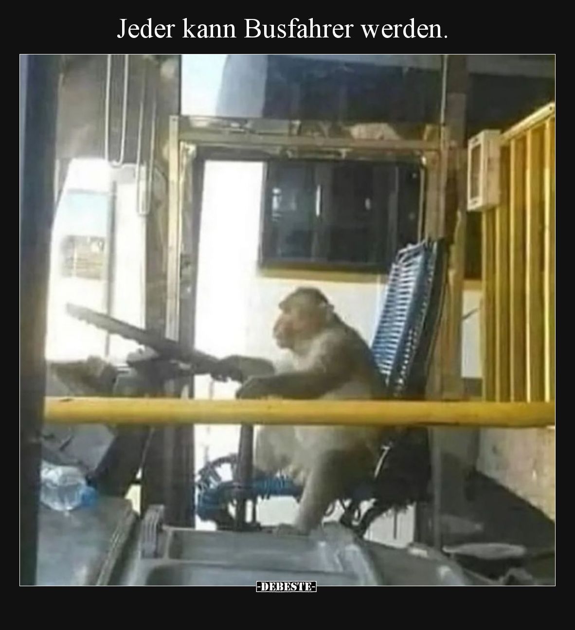 Jeder kann Busfahrer werden.