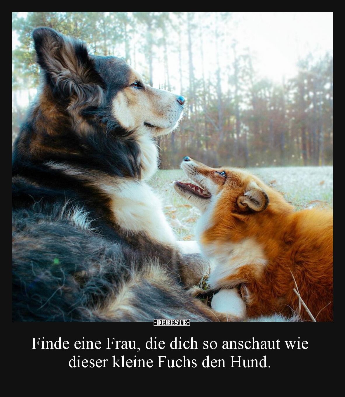 Finde eine Frau, die dich so anschaut wie dieser kleine.. - Lustige Bilder | DEBESTE.de