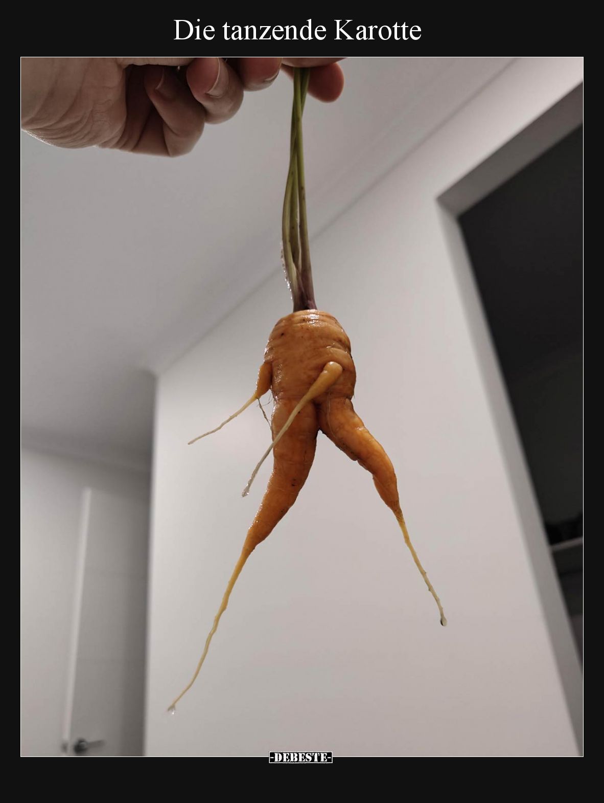 Die tanzende Karotte