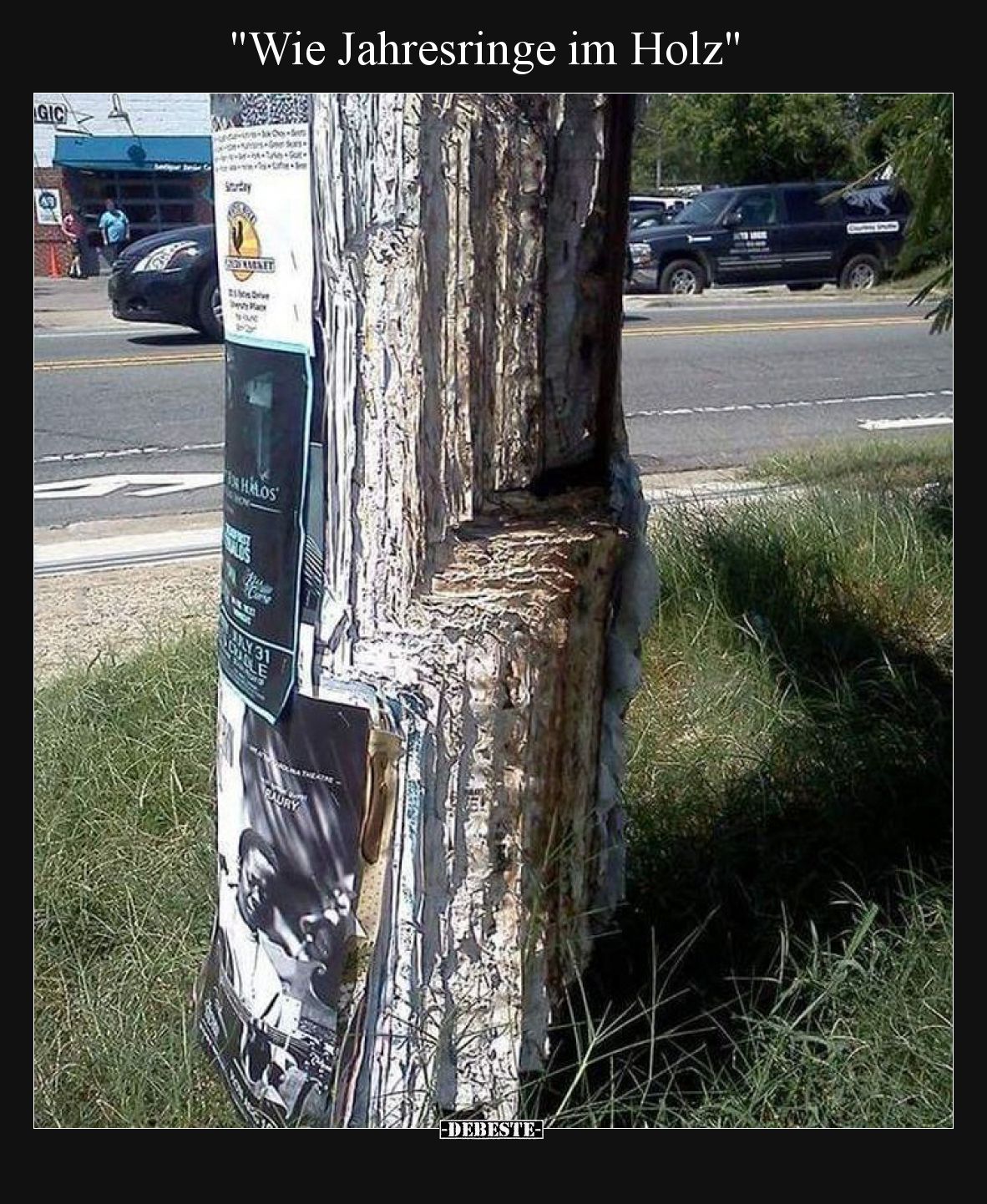 Wie Jahresringe im Holz