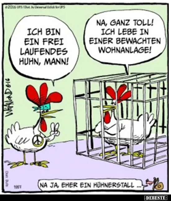 Ich bin ein freilaufendes Huhn.. - Lustige Bilder | DEBESTE.de