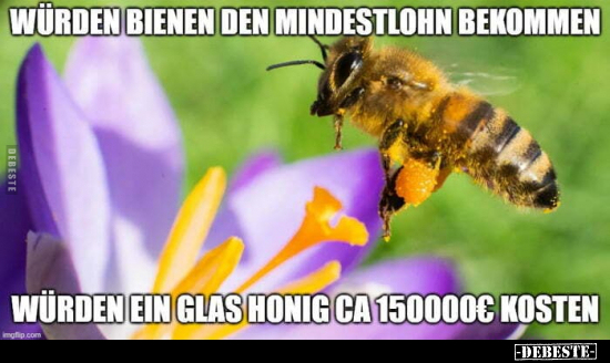 Würden Bienen den Mindestlohn bekommen, würden ein Glas.. - Lustige Bilder | DEBESTE.de