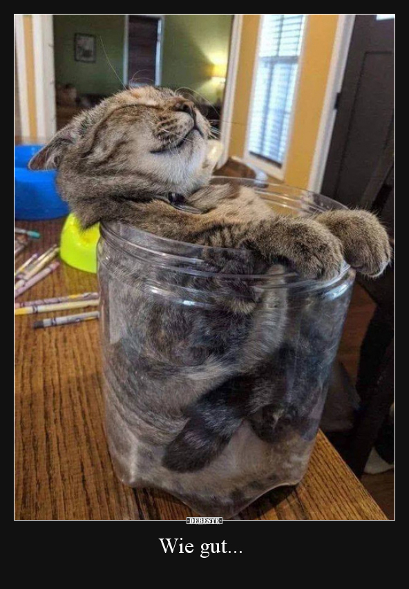 Wie gut...