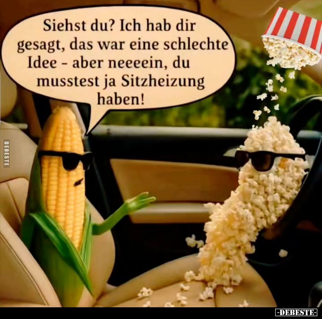 Siehst du? Ich hab dir gesagt, das war eine schlechte Idee - aber neeeein, du musstest ja Sitzheizung haben!