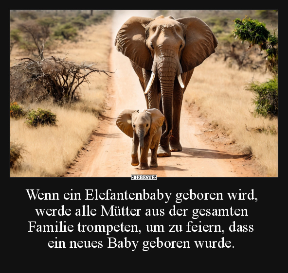 Wenn, Mütter, Familie, Feiern, Baby