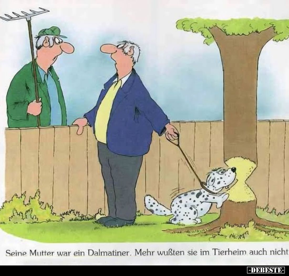 Seine Mutter war ein Dalmatiner. Mehr wußten sie im Tierheim auch nicht